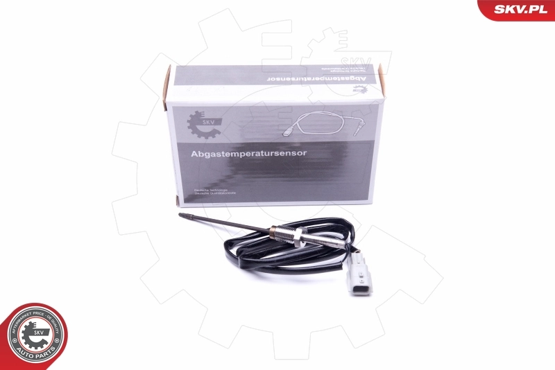 Sensor, exhaust gas temperature